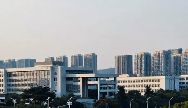 企业信息查询两种做法对比及实际取舍